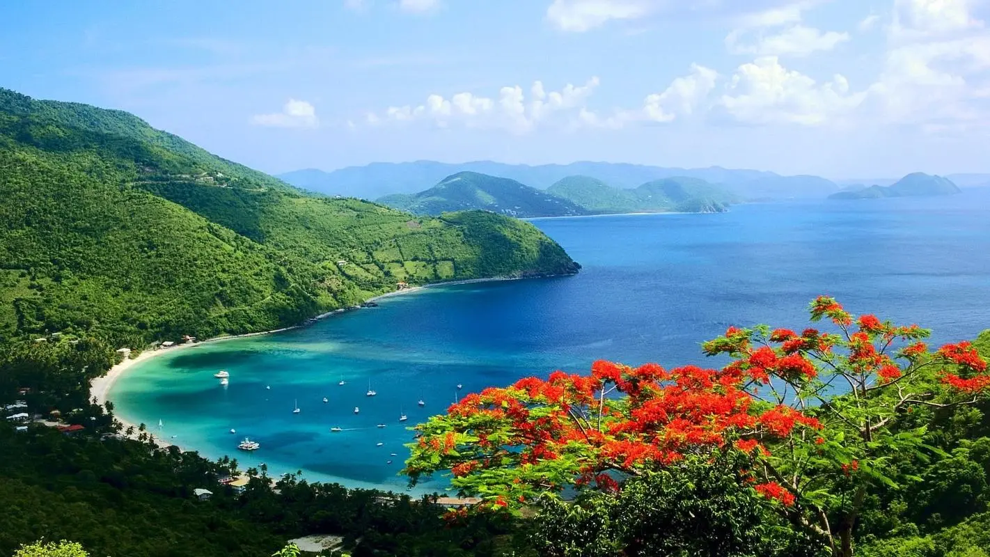 网络化无人化环保